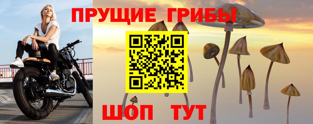 Псилоцибиновые грибы мухоморы  Вход с VPN  купить наркотик  Беслан 